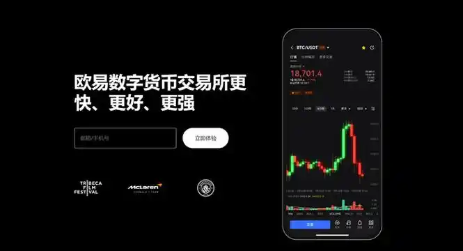 oe交易官网页面展示